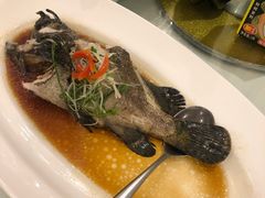 -宝燕壹号(徐汇店)