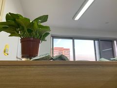 -锦鲤学社·自习室(角门西店)