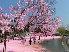 -上海杨姆庄园