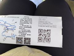 -五营红松林海景区