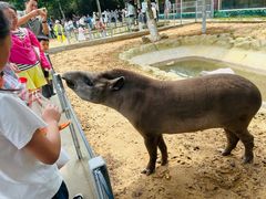 -西霞口神雕山野生动物世界
