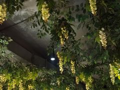 -番食园鲜食火锅(高新店)
