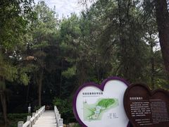 -铁山坪森林公园