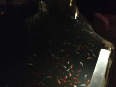-太白山御龙湾温泉