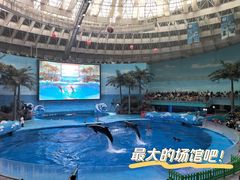 -海合安成都极地海洋公园