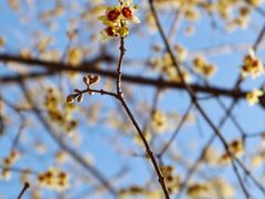 -白塘生态植物园