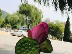 -华西村