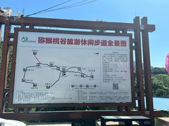 -大岭沟猕猴桃谷风景区