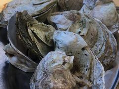 -蚝专家(北滘店)