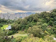 -金鸡山公园