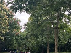 -上海吴淞炮台湾国家湿地公园