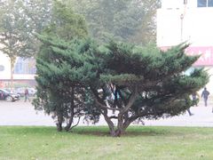-辽宁大学(崇山校区)