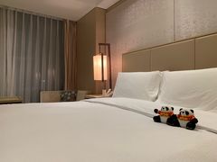 -北京康莱德酒店