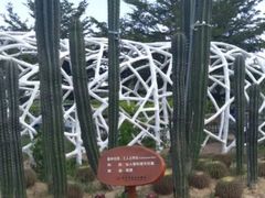 -亚龙湾国际玫瑰谷