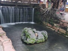 -黄龙溪古镇