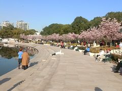 -新江湾城公园