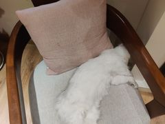 -德瑞姆心理咨询旗舰店