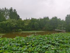 -梅林春晓花园餐厅