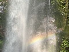 -莫里热带雨林景区