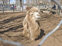 -长白岛森林公园