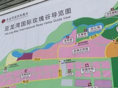 -亚龙湾国际玫瑰谷