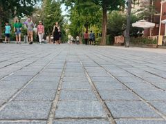 -天正河鲀·河豚亭(大连店)