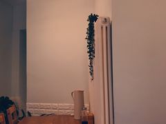 -海胆小馆(东北水饺·春柳店)