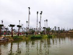 -枫香湖儿童公园