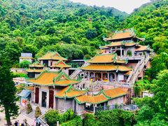 -南海湾森林生态园