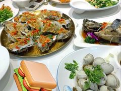 红油肚丝-东来菜馆•手抓海鲜家常菜•海鲜锅贴(鸽子窝店)