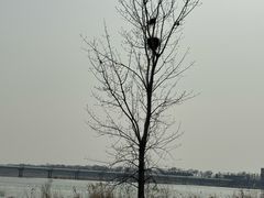 -绿堤公园
