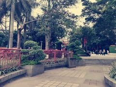 -荔湾湖公园