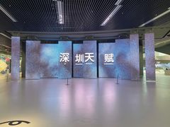 -深圳市当代艺术与城市规划馆