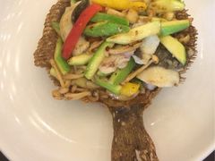 多宝鱼-嘉逸传菜(洛川东路店)