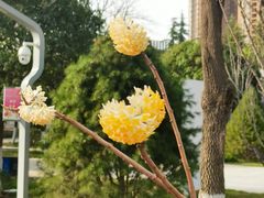-西安市长乐公园