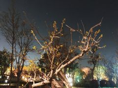 -石湖景区