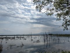 -野鸭湖国家湿地公园