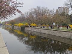 -元大都城垣遗址公园