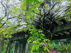 -贵州省植物园