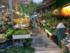 -曲阳花鸟市场(曲阳路店)