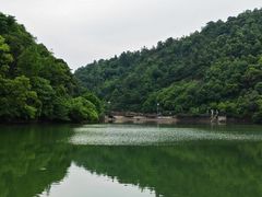 -桃花岭景区