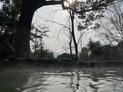 -三江森林温泉度假区