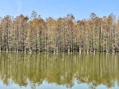 -尚湖风景区