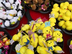 -朝阳公园游乐园