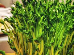 鲜豆苗-俏牛哥鲜牛肉牛肆馆(重庆天地店)