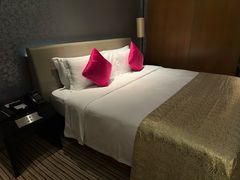 -深圳皇庭V酒店