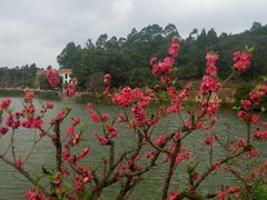 -南国桃园旅游度假区