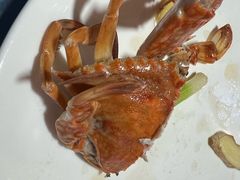 -罗源湾8号渔排