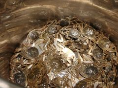 -富力希尔顿酒店·地阔自助餐厅