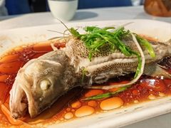 -云中小雅
